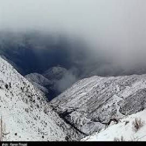 پیمان رضایی ننه